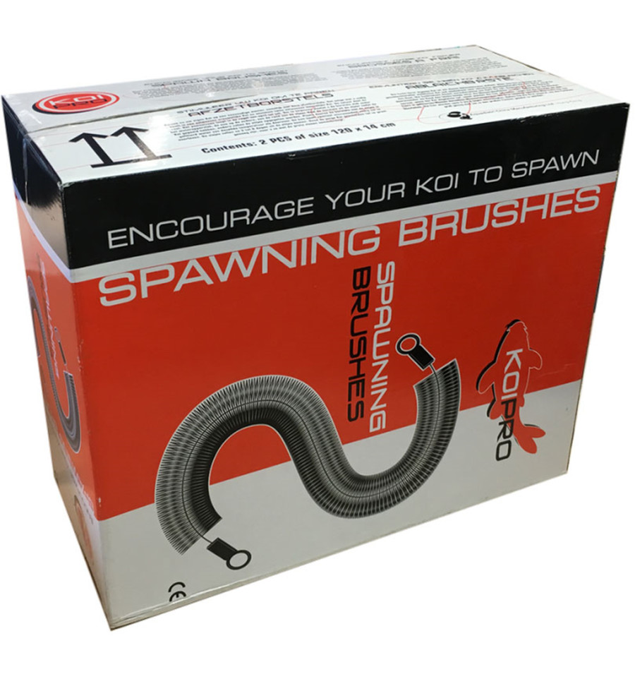 Koi pro afzetborstel in doos 2 st.