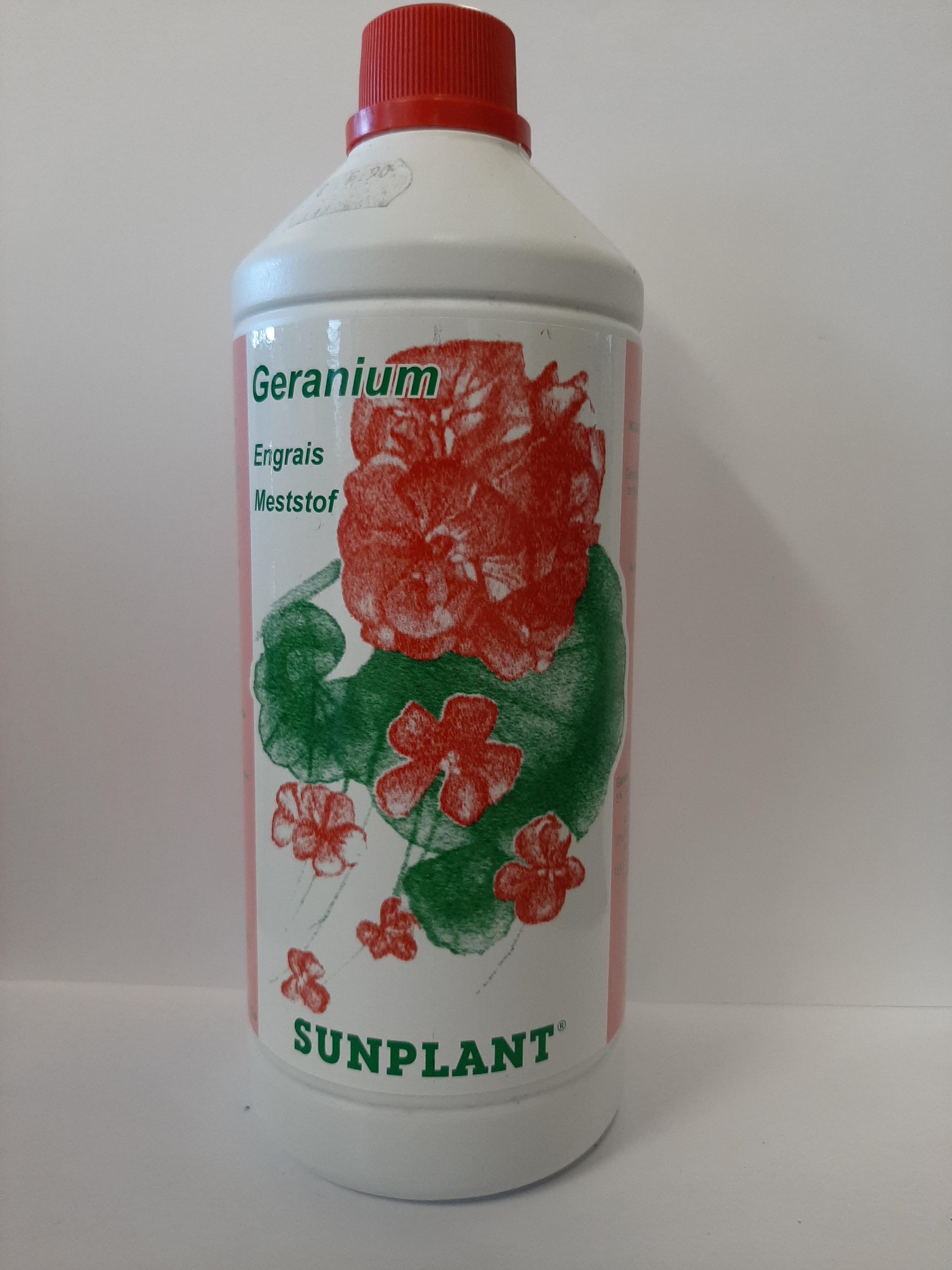 Sunplant Geranium