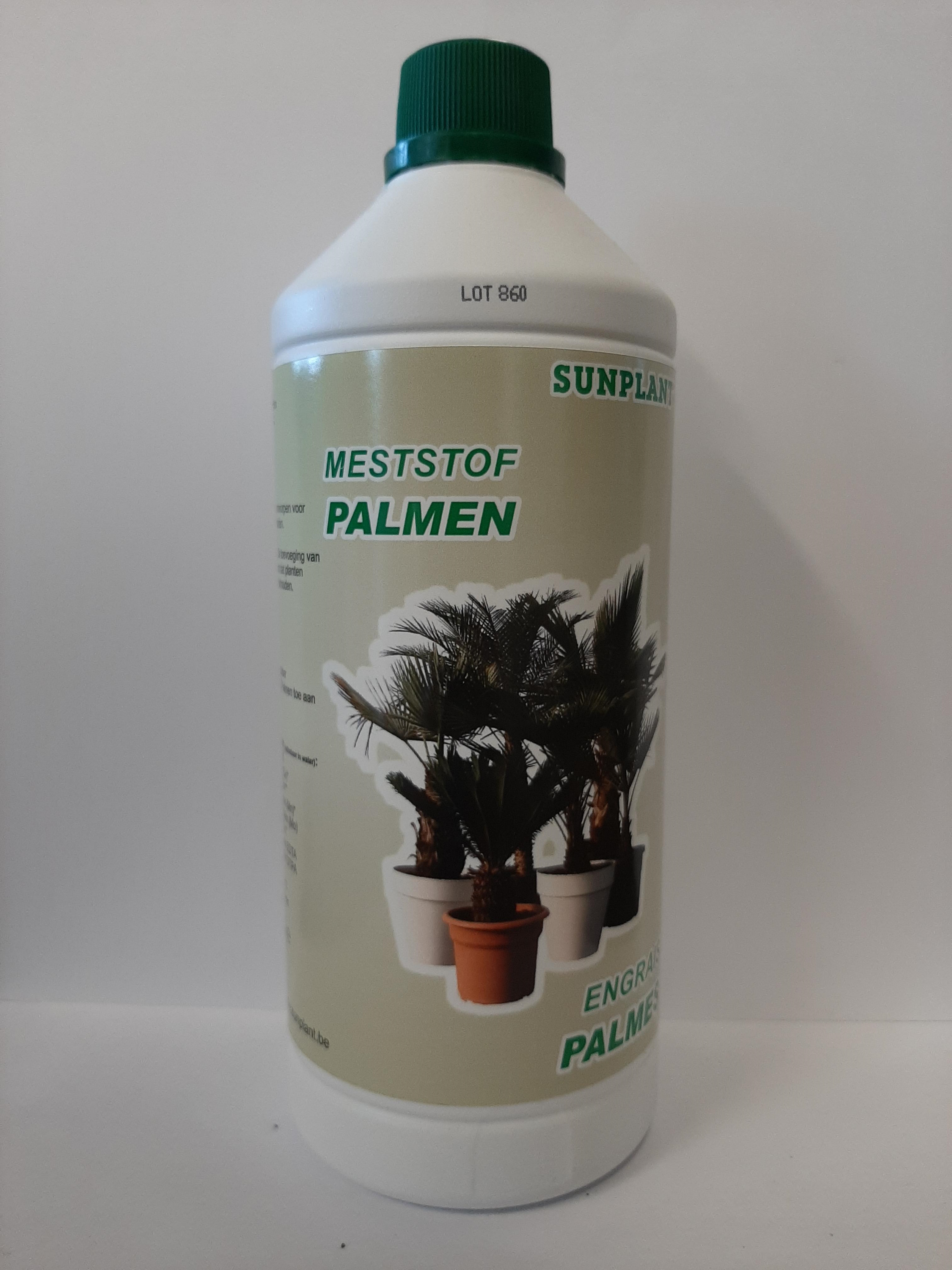 Sunplant Palmen