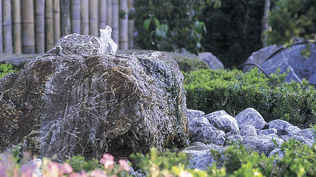 Aquarius Universal 2000