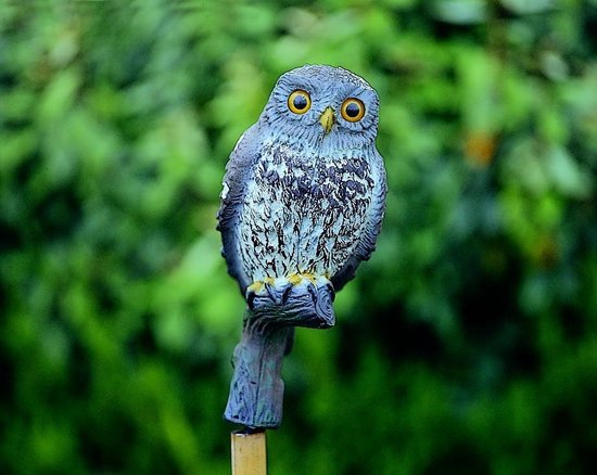 Kleine uil 24 cm
