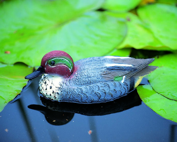 Wintertaling (woerd)