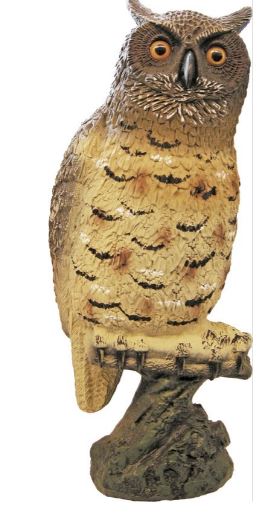 Grote uil 40cm