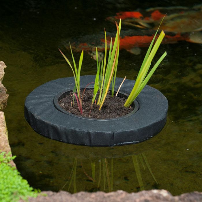 Swimplant rond 35cm