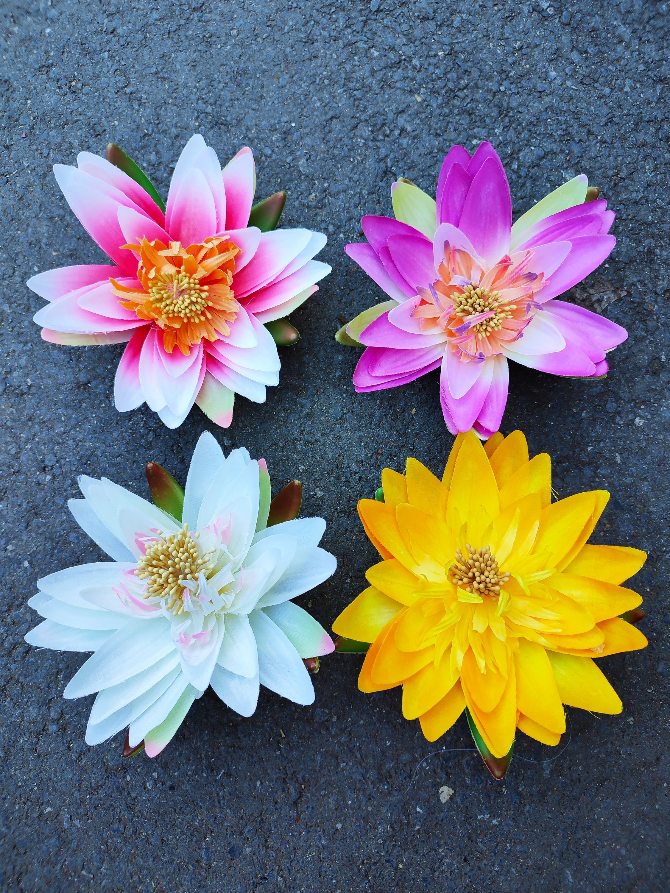 Waterlelie 14 cm paars