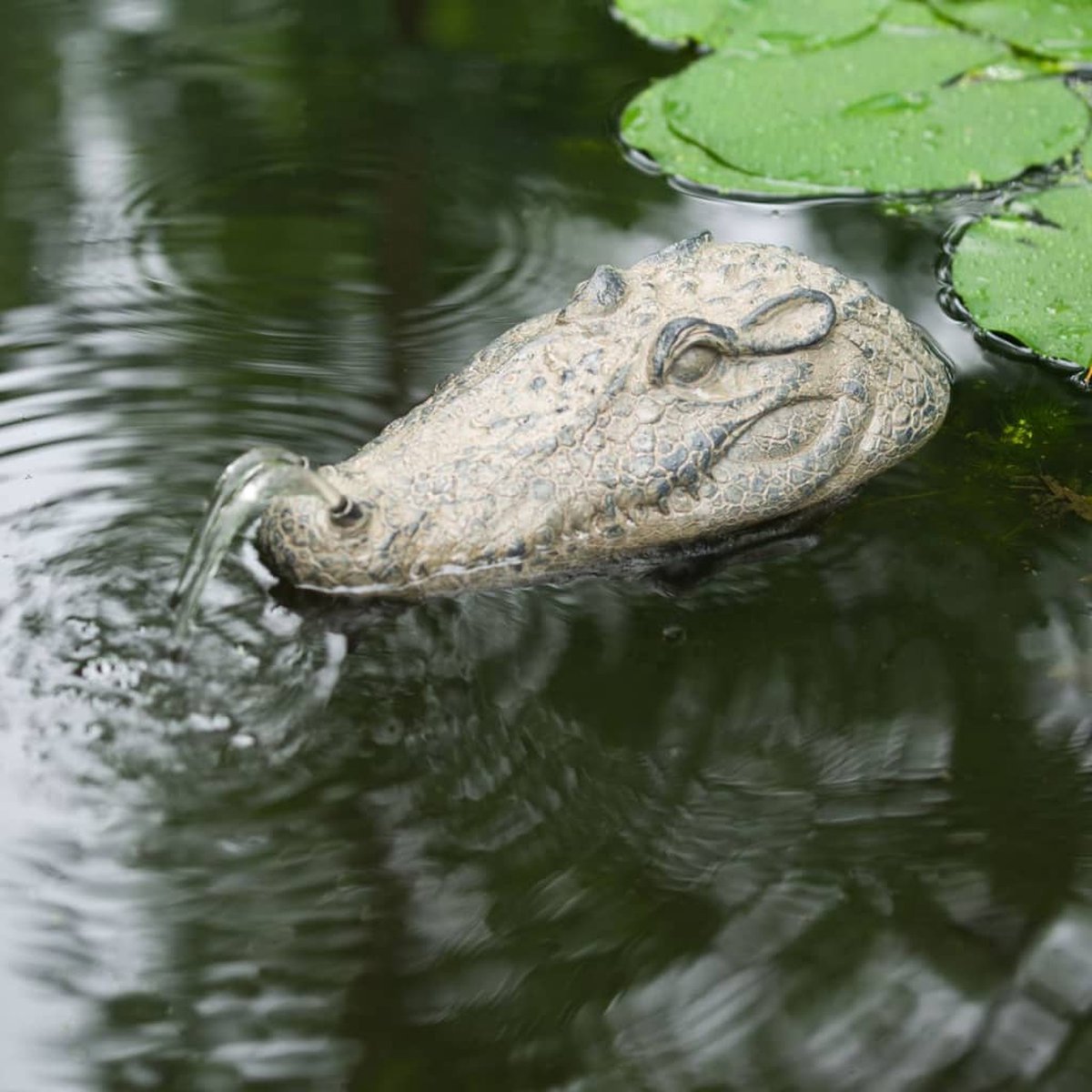 Spuitfiguur drijvend krokodil
