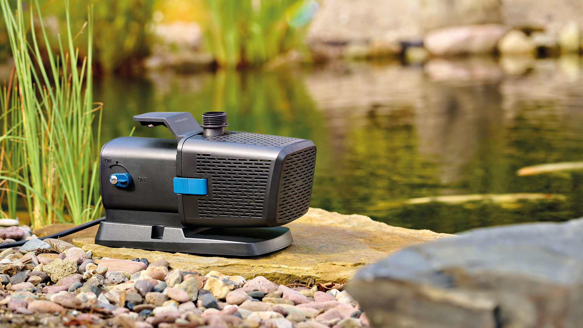 Aquarius Eco Premium 6500