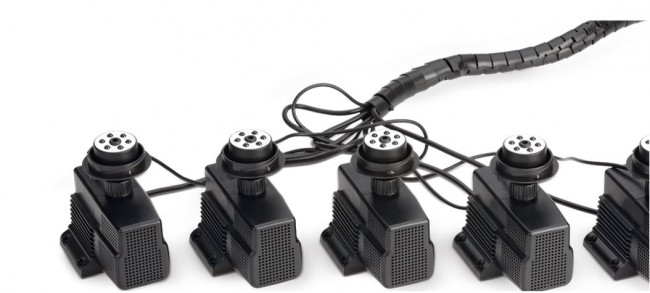 Water Quintet Creative