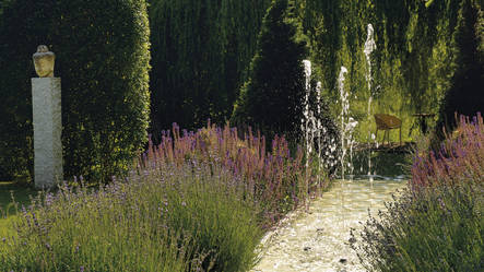 Water Quintet Creative