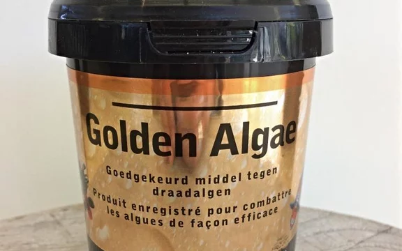 Golden Algae 500ml