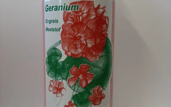 Sunplant Geranium