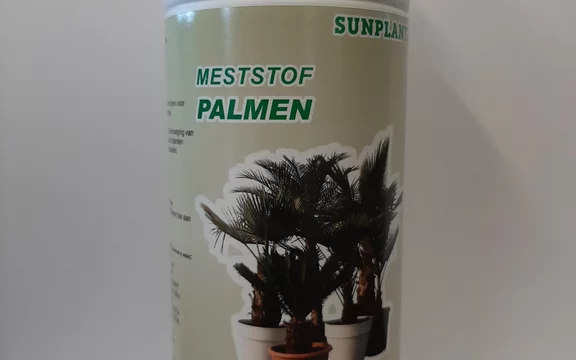 Sunplant Palmen