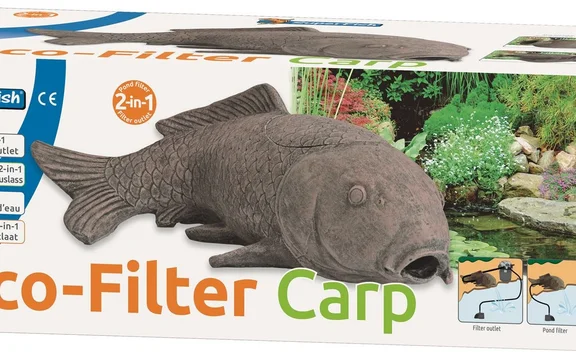 Sf carp filter