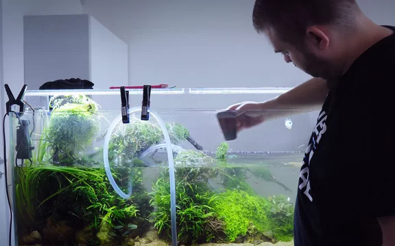 aquariumservice