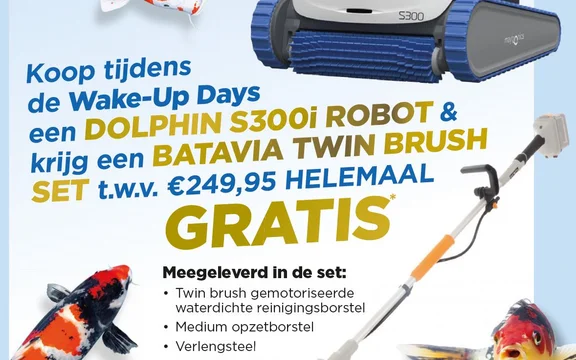 dolphin