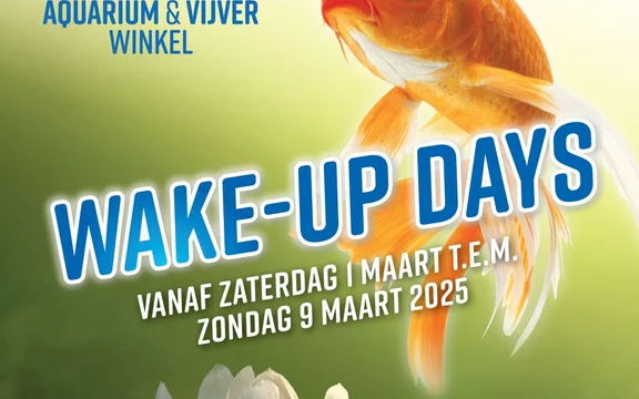 wakeup2025