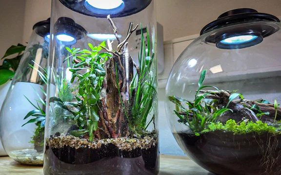 Bioart