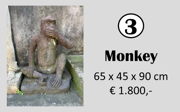 Beeld 3