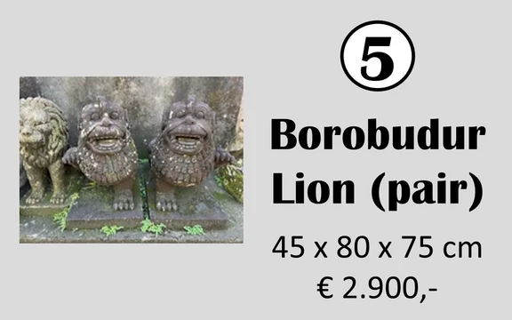 Beeld 5