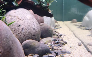 stream