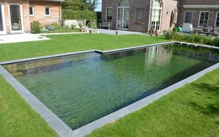 zwemvijver