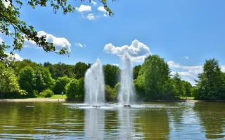 geysers