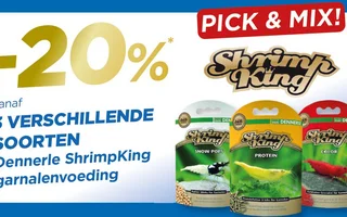 shrimpking