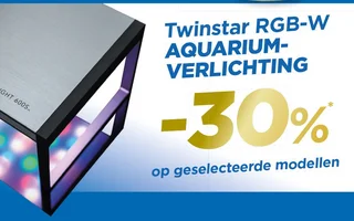 twinstar