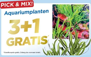 plantenpromo