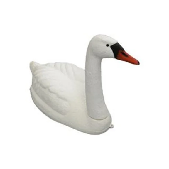 Zwaan
