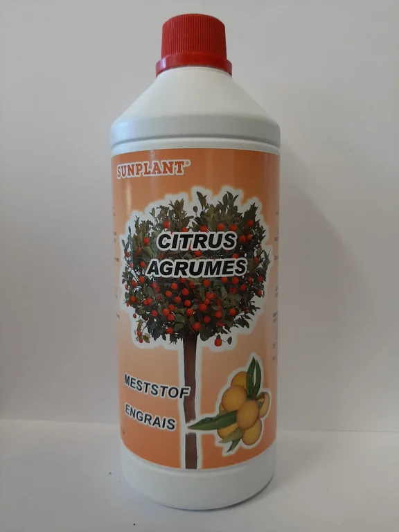 Sunplant Citrus