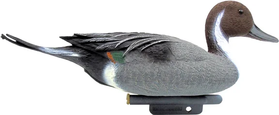 Pijlstaart (woerd)