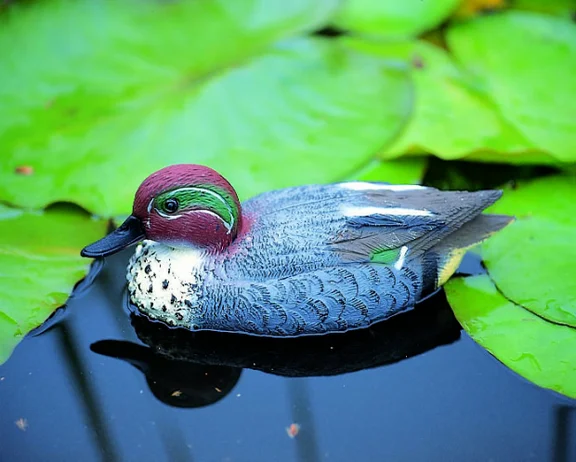 Wintertaling (woerd)
